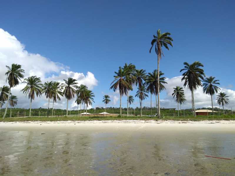 Terreno, 426 m² - Foto 2