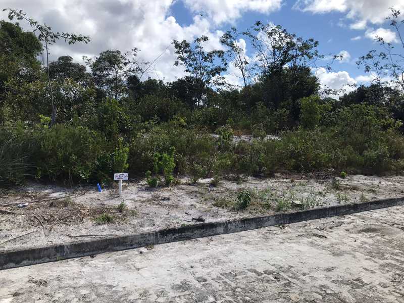 Terreno, 405 m² - Foto 15