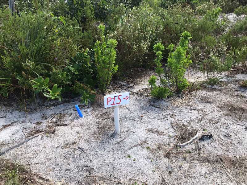 Terreno, 405 m² - Foto 16