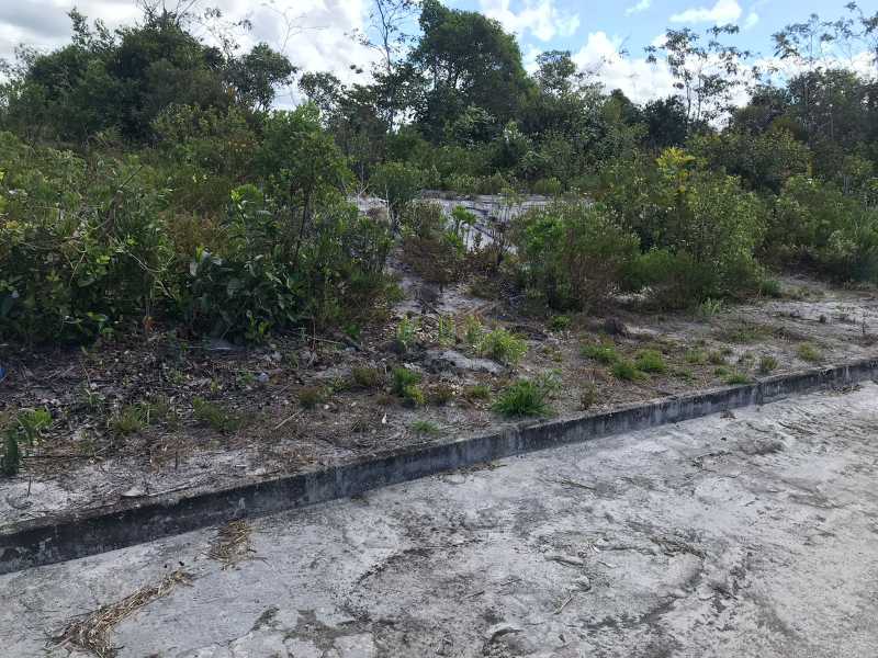 Terreno, 405 m² - Foto 17