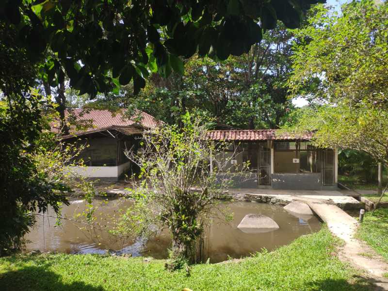 Fazenda à venda com 5 quartos, 280m² - Foto 26