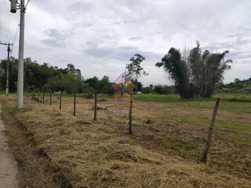 Terreno à venda, 2400 - Foto 4