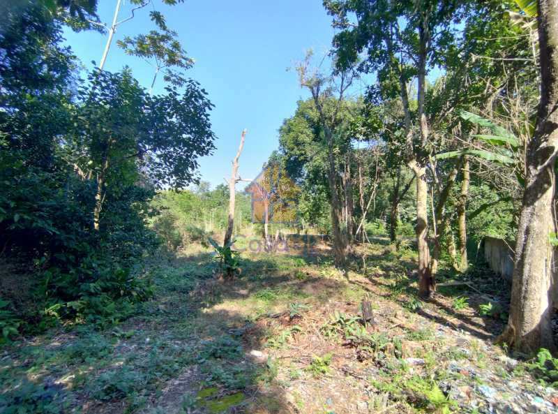 Sítio à venda com 8 quartos, 250m² - Foto 14