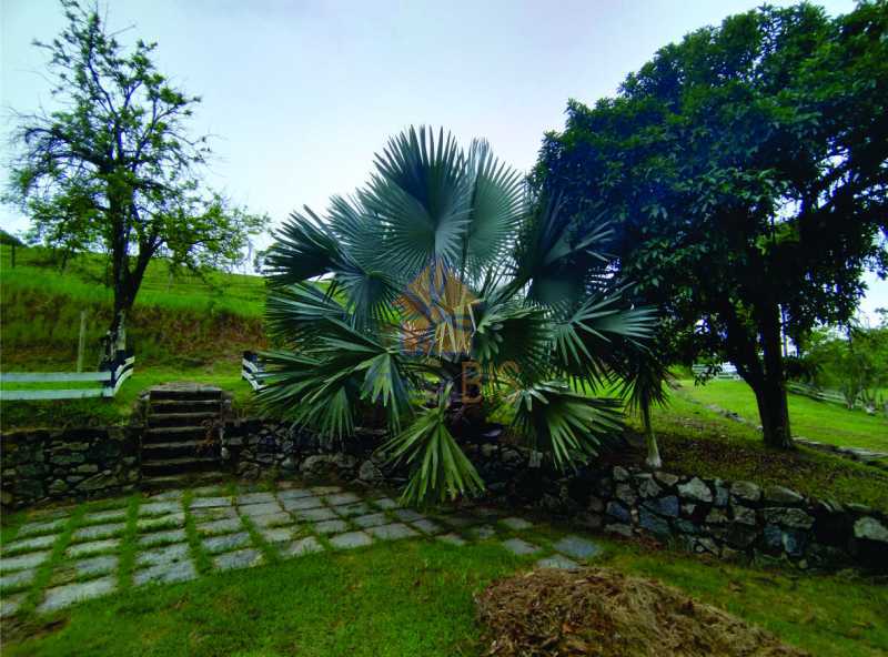 Sítio, 4 quartos, 9 hectares - Foto 2