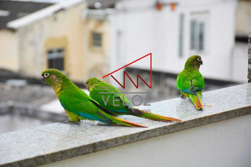 Cobertura, 4 quartos, 164 m² - Foto 16