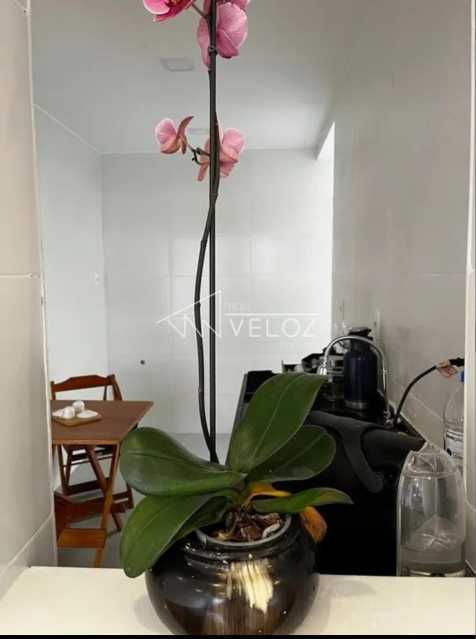 Apartamento à venda com 2 quartos, 66m² - Foto 14