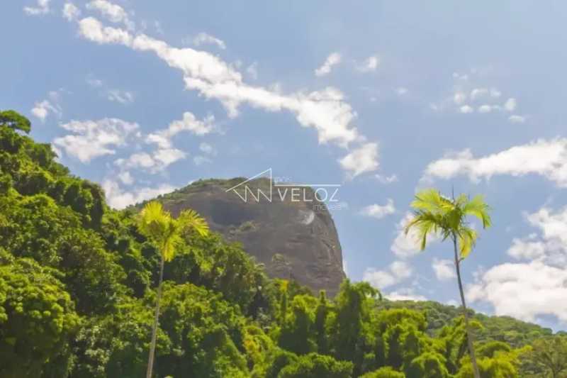 Cobertura à venda com 3 quartos, 225m² - Foto 2