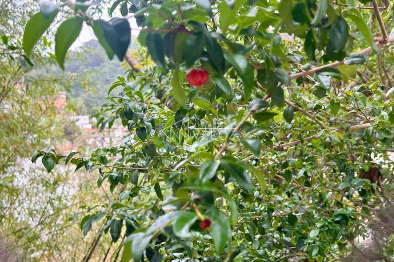 Apartamento, 2 quartos, 118 m² - Foto 4