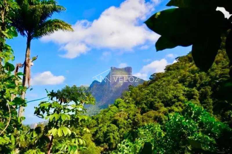 Apartamento, 6 quartos, 1400 m² - Foto 4