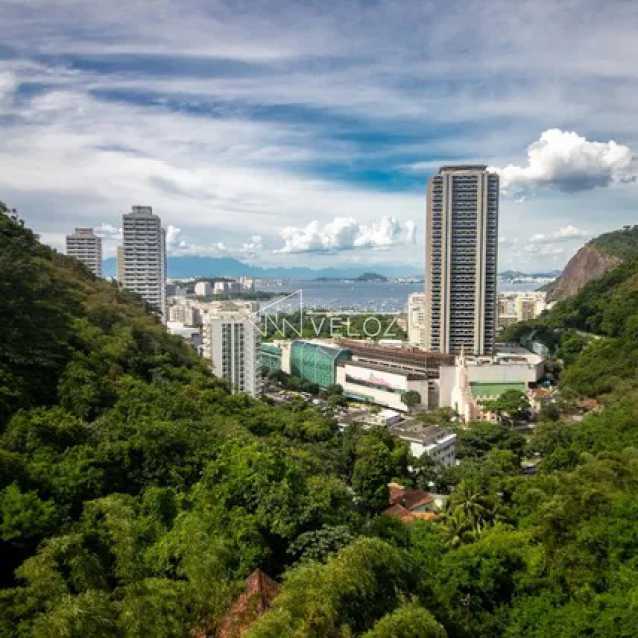 Apartamento, 4 quartos, 100 m² - Foto 7