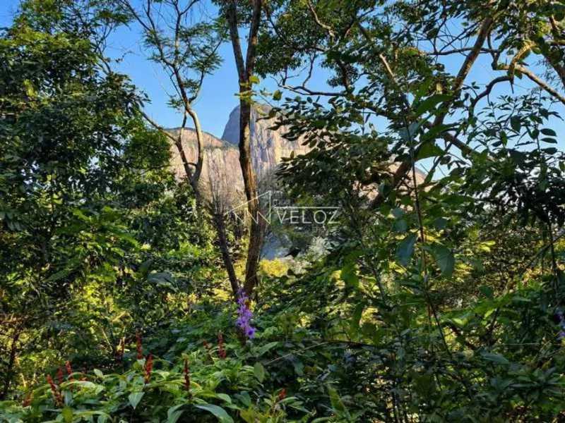 Apartamento, 4 quartos, 230 m² - Foto 10
