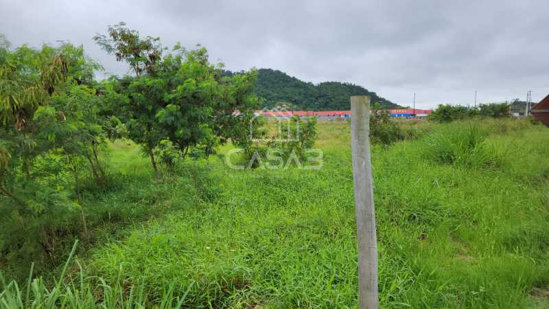 Terreno à venda, 421 - Foto 9