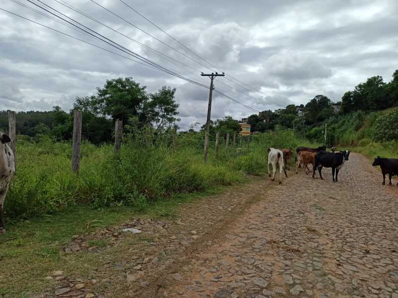 Terreno à venda - Foto 4