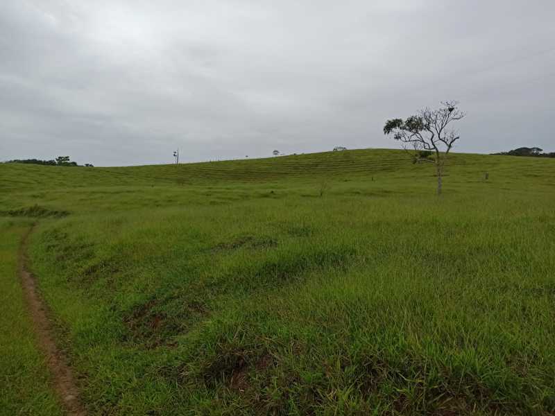 Terreno à venda - Foto 2