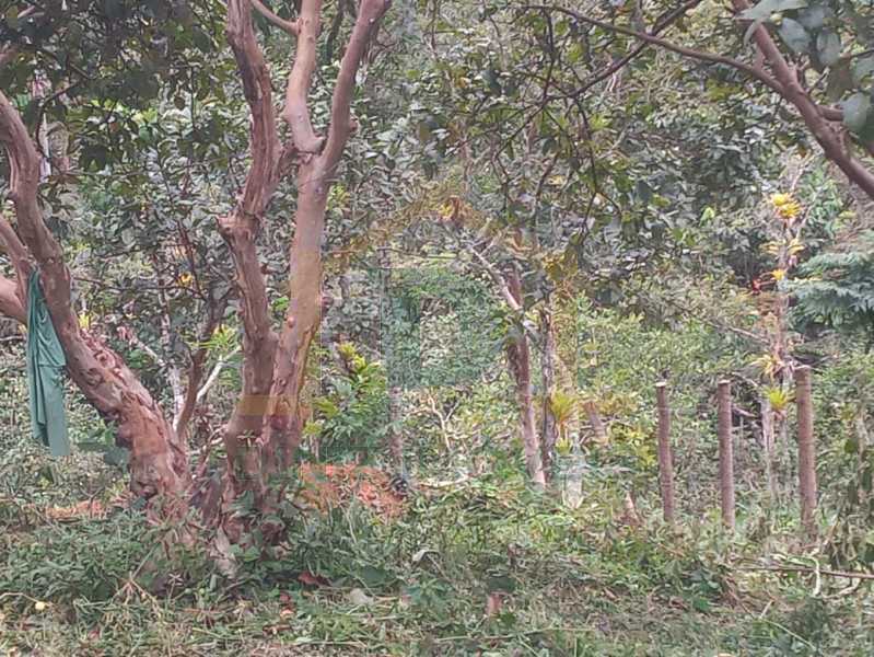 Terreno à venda, 2000 - Foto 6