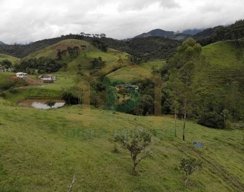 Fazenda à venda com 5 quartos - Foto 4