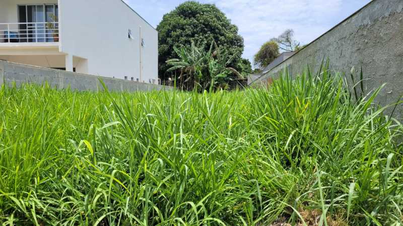 Terreno à venda, 280 - Foto 1