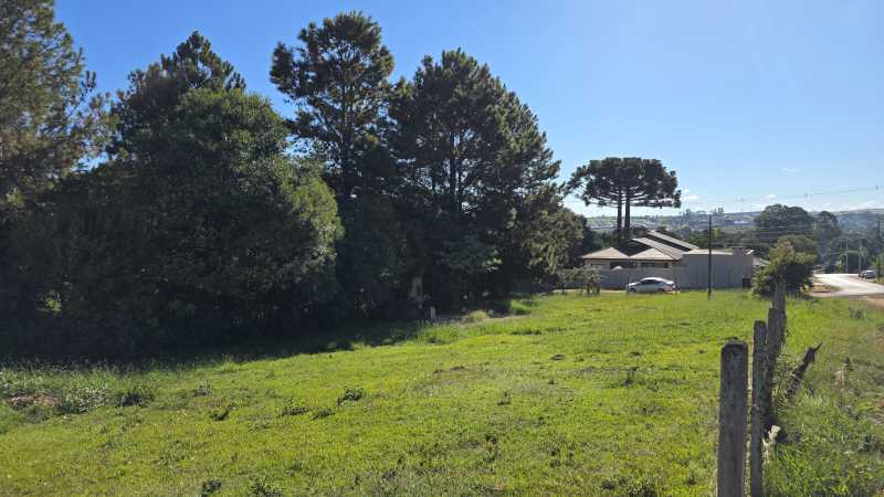 Terreno, 800 m² - Foto 3