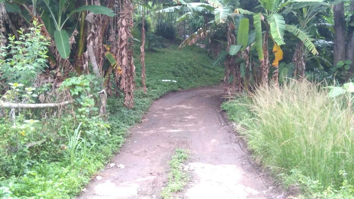 Terreno à venda - Foto 4