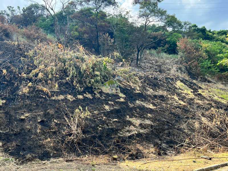 Terreno à venda, 922 - Foto 6