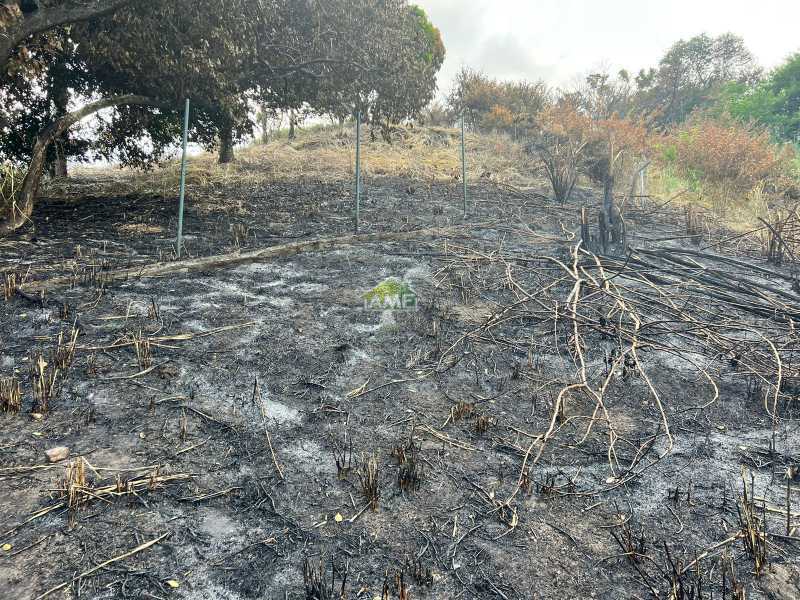 Terreno à venda, 922 - Foto 8