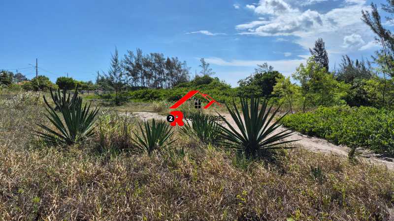 Terreno, 8000 m² - Foto 1