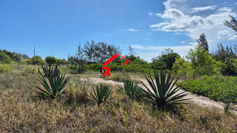 Terreno, 8000 m² - Foto 2