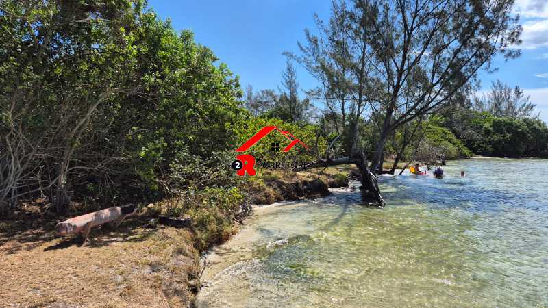 Terreno, 8000 m² - Foto 3