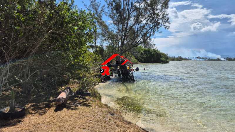 Terreno, 8000 m² - Foto 4