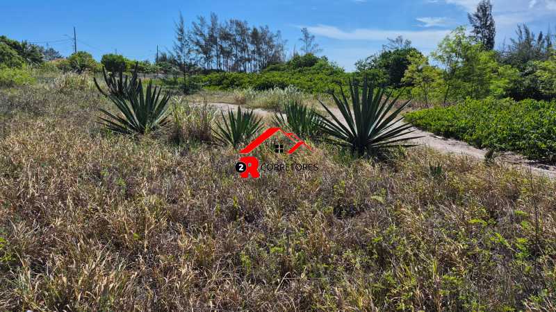 Terreno, 8000 m² - Foto 7