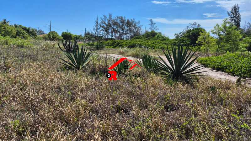 Terreno, 8000 m² - Foto 8