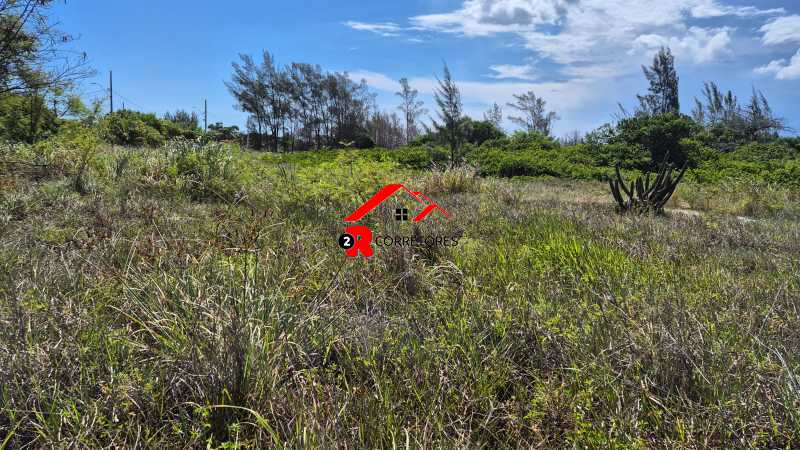 Terreno, 8000 m² - Foto 9