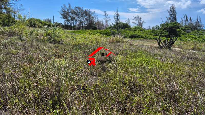 Terreno, 8000 m² - Foto 10