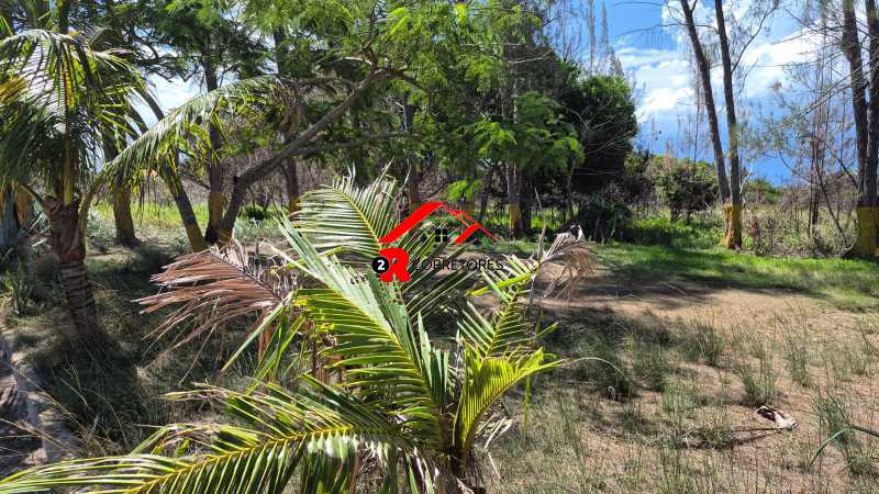 Terreno, 8000 m² - Foto 14