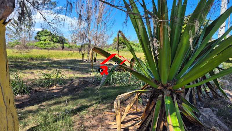 Terreno, 8000 m² - Foto 15