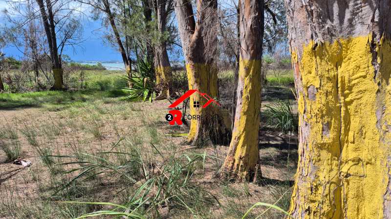 Terreno, 8000 m² - Foto 16