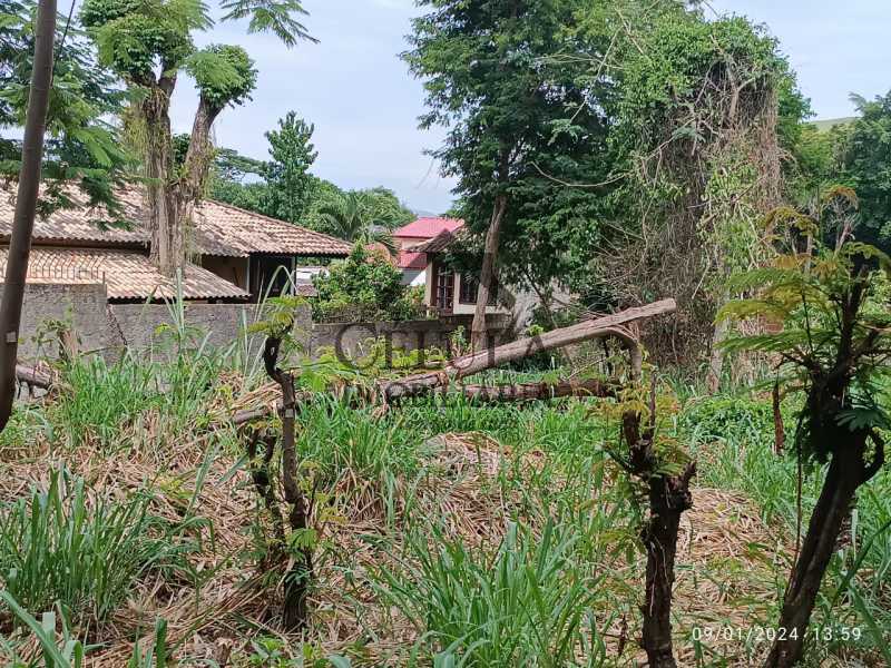 Terreno à venda, 605 - Foto 6