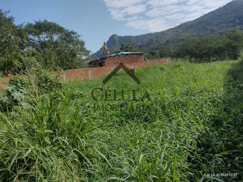 Terreno à venda, 645 - Foto 6