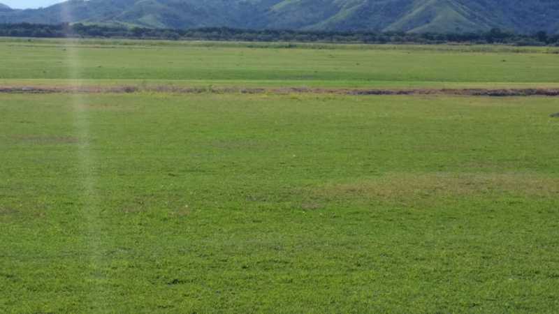 Fazenda à venda, 2400000m² - Foto 3