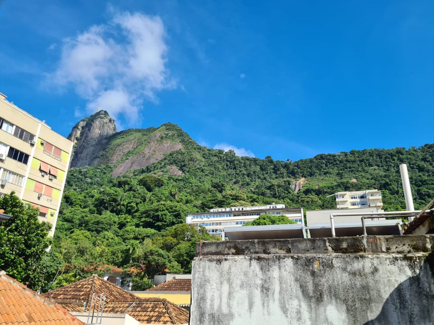 Casa Comercial, 400 m² - Foto 9