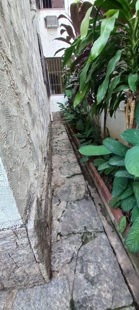 Casa, 4 quartos, 251 m² - Foto 21
