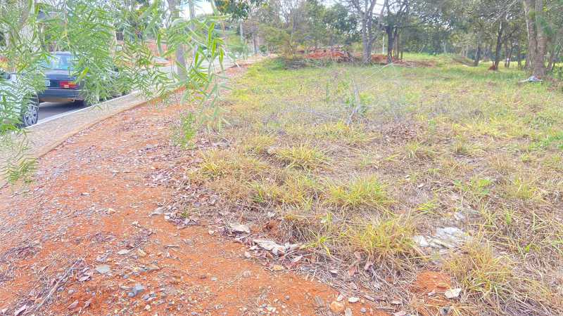 Terreno à venda - Foto 7