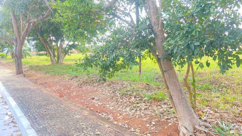 Terreno à venda, 1000 - Foto 4