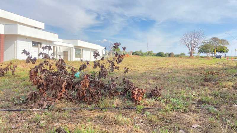 Terreno à venda, 1000 - Foto 2