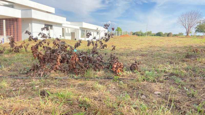 Terreno à venda, 1000 - Foto 3