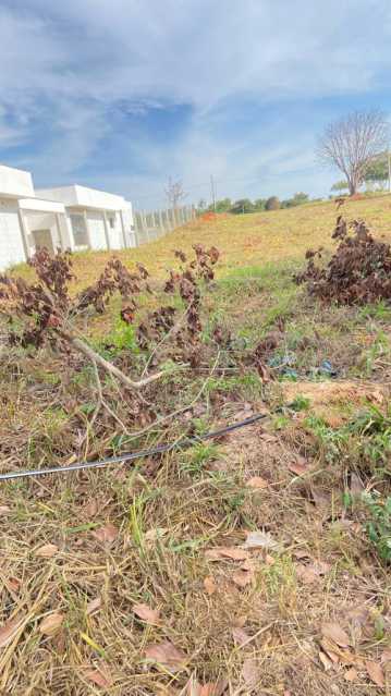 Terreno à venda, 1000 - Foto 6