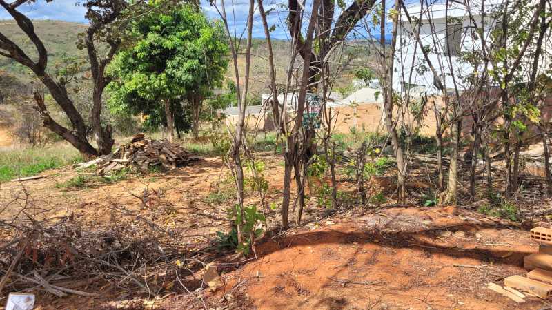 Terreno à venda, 1000 - Foto 2