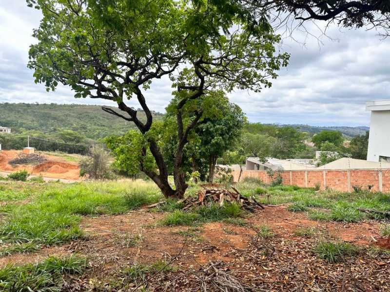 Terreno à venda, 1000 - Foto 7