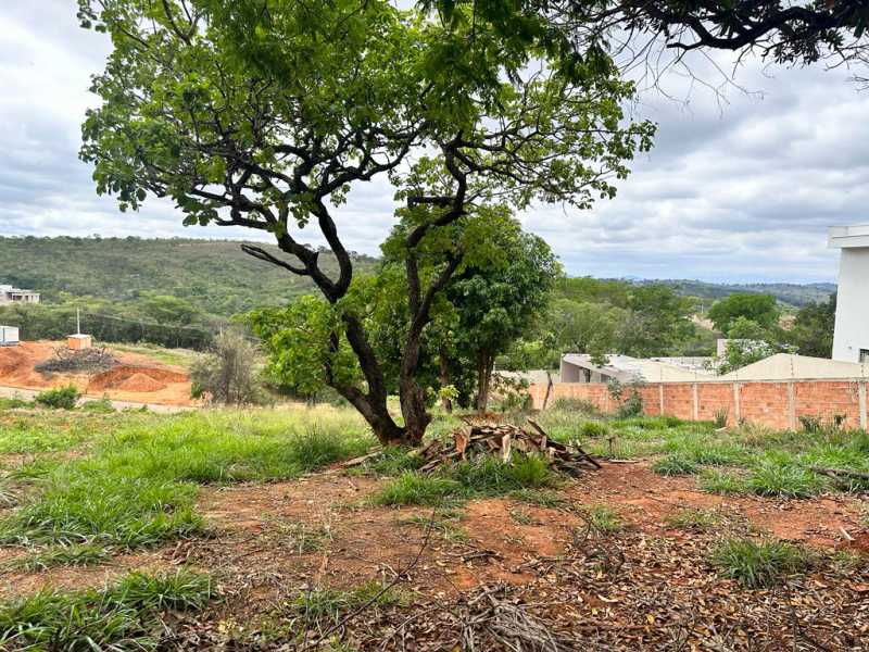 Terreno à venda, 1000 - Foto 10