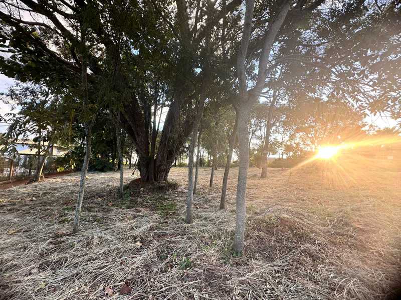 Terreno à venda, 5000 - Foto 4